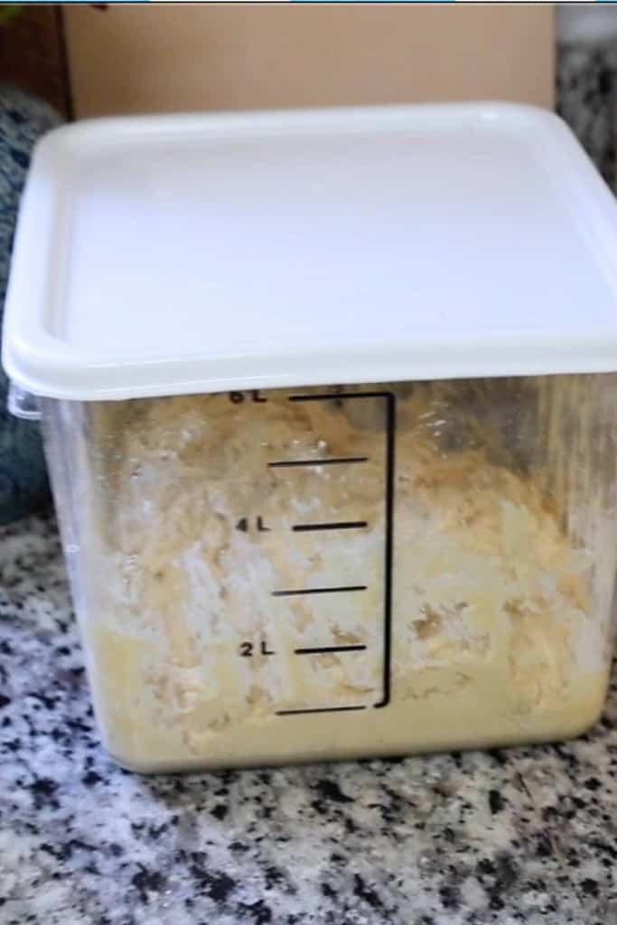 tub-of-dough-rising-on-the-counter
