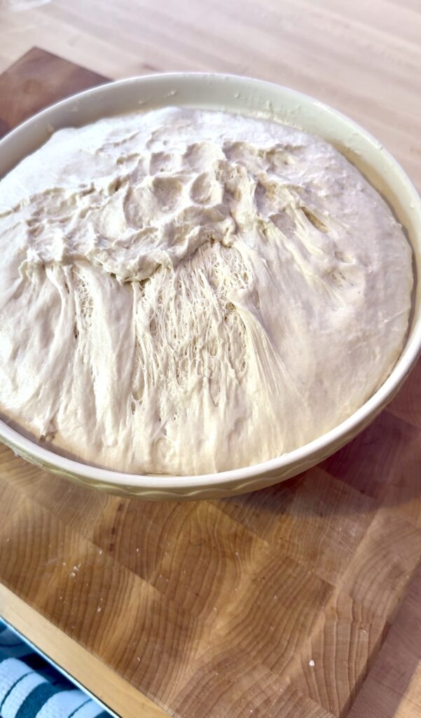 no knead sourdough bread in bowl fully risen after fermentation